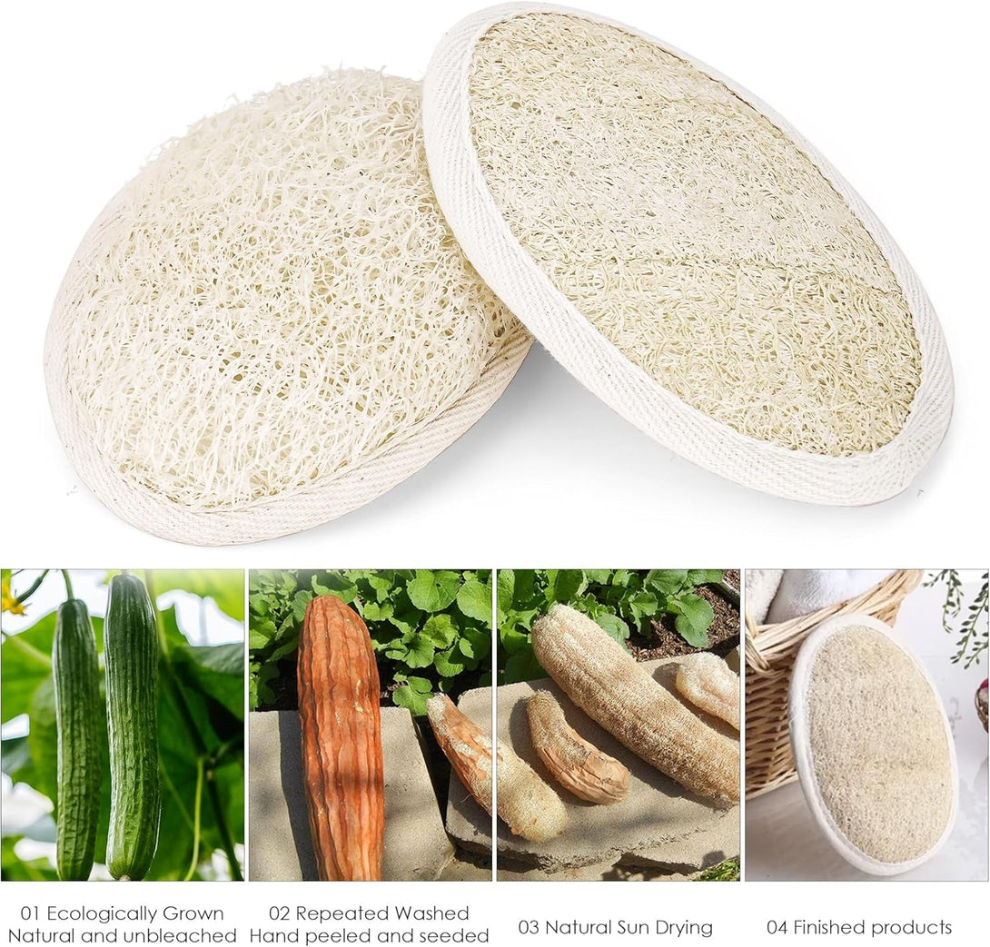 Natural Loofah Sponge Exfoliating Body Scrubber, Organic Biodegradable Luffa Bath Shower Scrub for All Skin Types, Men Women (3 Pack)