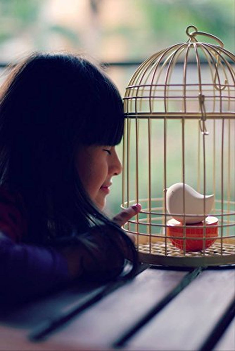 Baby Bird, Non-Electric Ceramic Diffusers for Essential Oils and Aromatherapy Fragrance, White Ceramic Diffusers in Car or Desk Office Decor and Small Bathroom at Home, Orange Vase