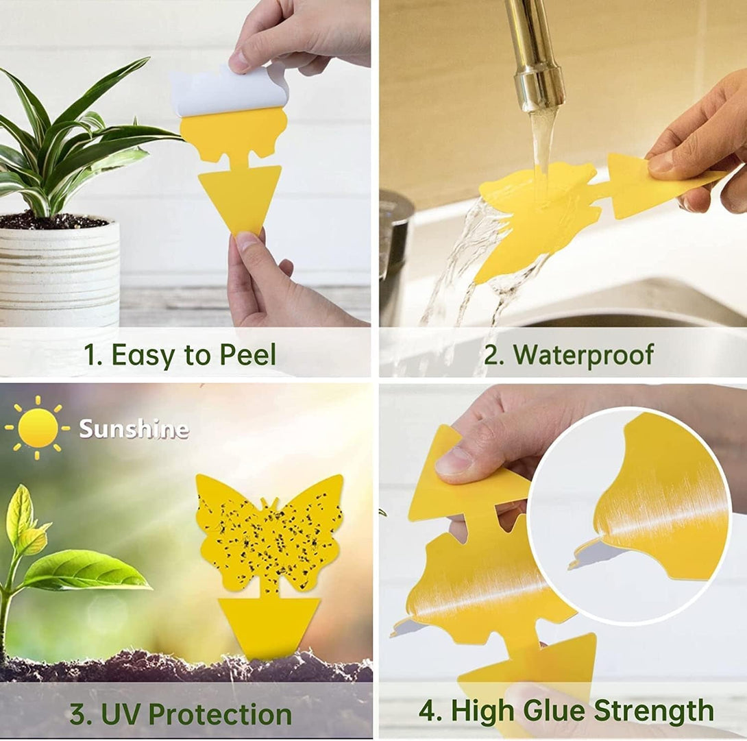 36 Pack Fruit Fly Trap for Indoors, Fungus Gnat Killer Indoor Sticky Traps for Mosquito, Bug Insect Catcher Killer for Houseplant