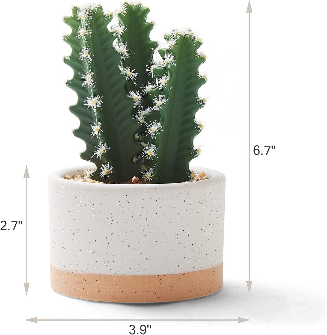 Artificial Succulent Plants in Ceramic Pots, Faux Assorted Succulents Fake Cactus Plants for Home Decor, Bedroom, Office, Desk, Living Room, Set of 3…