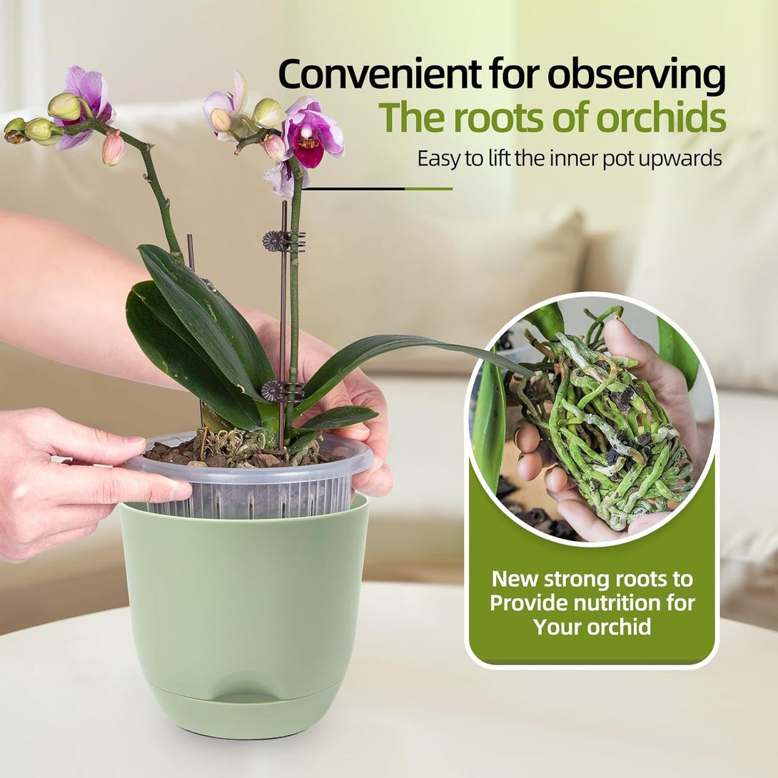 QCQHDU 2 Pack Orchid Pots with Holes for Repotting, Self Watering and Double-Layer Orchid Pot with Good Air Circulation