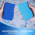 Elitra Essentials Scrubber Sponge, Non-Scratch Hydrophilic Foam Technology - Odor Resistant, Curved Grip, Dual-Sided Foam & Acrylic Grain Surface,