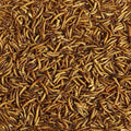 Kaytee Wild Bird Food Mealworms for Bluebirds, Wrens, Robins, Chickadees, Woodpeckers, Cardinals & Chickens, 17.6 Ounce