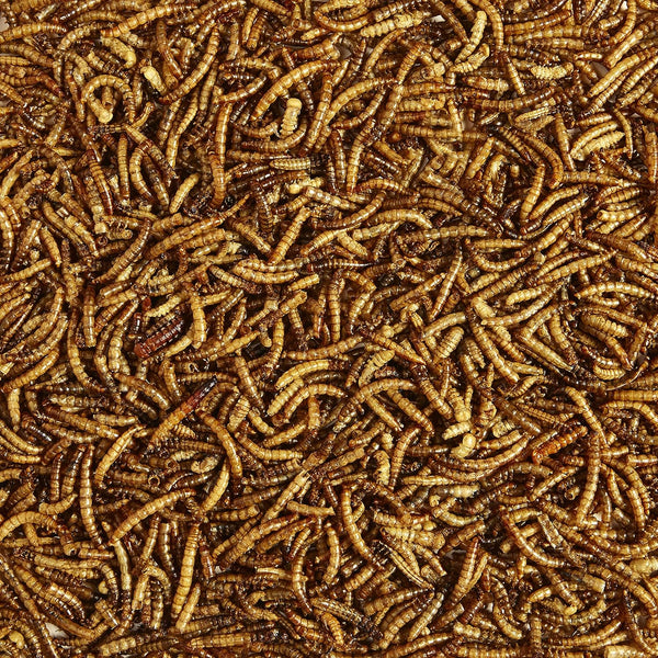 Kaytee Wild Bird Food Mealworms for Bluebirds, Wrens, Robins, Chickadees, Woodpeckers, Cardinals & Chickens, 17.6 Ounce