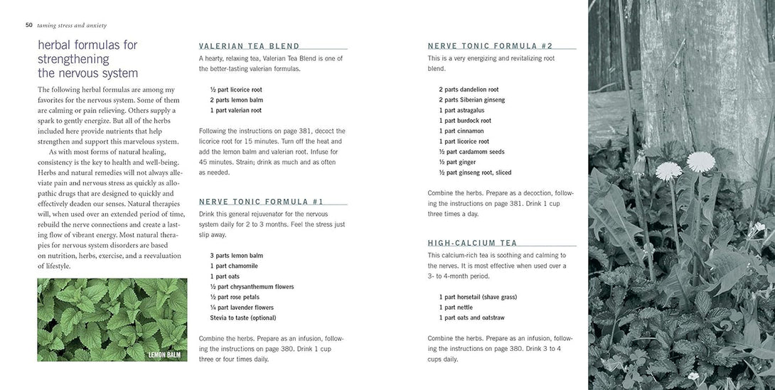 Rosemary Gladstar'S Herbal Recipes for Vibrant Health: 175 Teas, Tonics, Oils, Salves, Tinctures, and Other Natural Remedies for the Entire Family