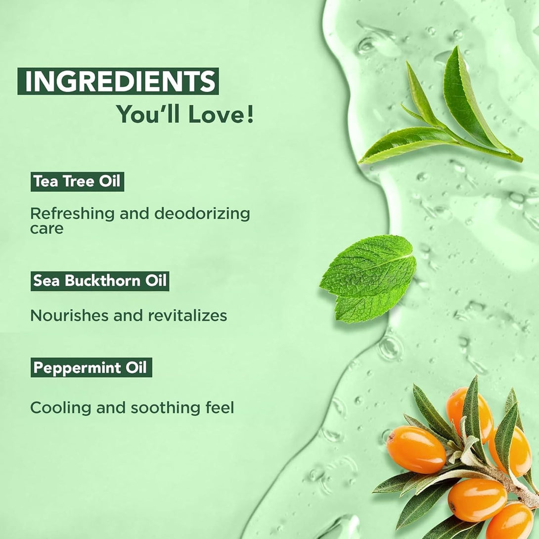 Botanic Hearth Tea Tree Body Wash - 16 Fl Oz - Helps Soothe Itchy, Dry Skin, Antifungal Body Wash with 100% Pure Tea Tree Oil - Sulfate Free, Paraben Free, for Men and Women Set of 2