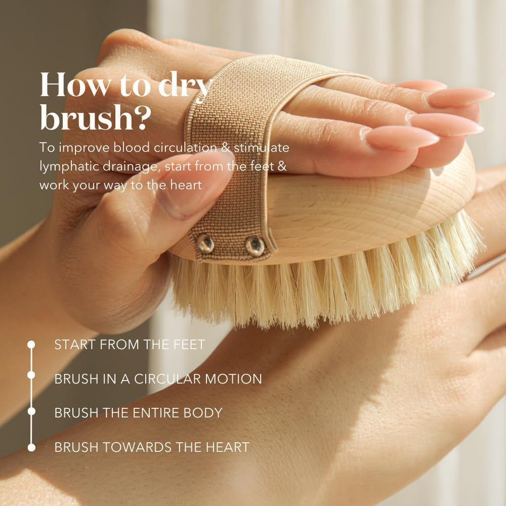 Bare Botanics Dry Body Brush for Lymphatic Drainage - Improve Circulation W/Gentle Exfoliation for Soft Skin - Ergonomically Designed W/Elastic Strap - Soft but Firm Natural Boar Bristles