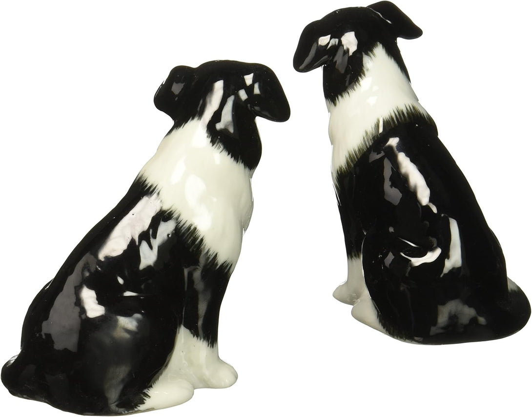 Cosmos Gifts Ceramic Border Collie Salt and Pepper Set, 2-1/2-Inch