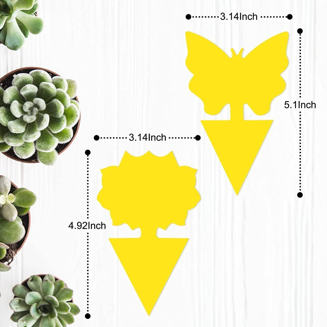 36 Pack Fruit Fly Trap for Indoors, Fungus Gnat Killer Indoor Sticky Traps for Mosquito, Bug Insect Catcher Killer for Houseplant