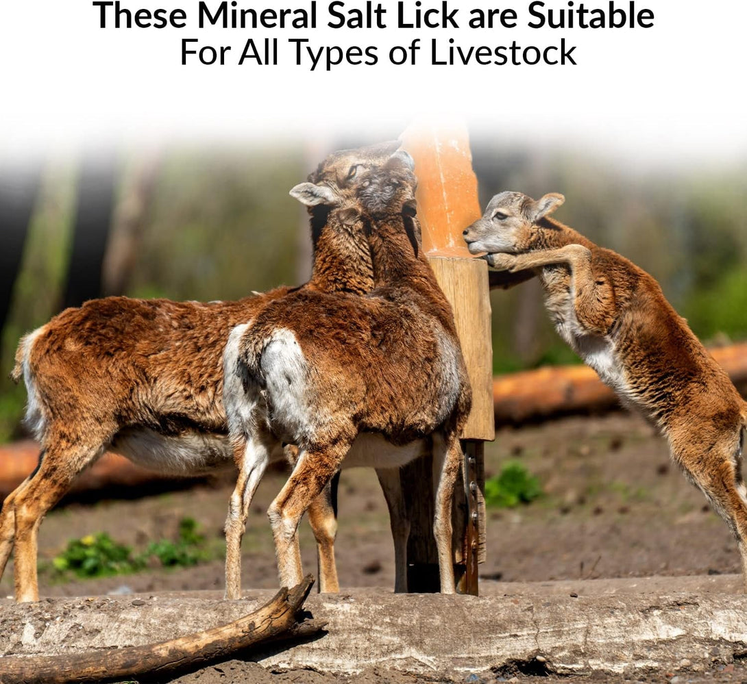 100% Natural Himalayan Rock Deer Salt Block - Animal Licking Mineral Salt Block, Natural Feed Salts Blocks, 5 Lbs, 2X4X8 Inch, Pack of 1