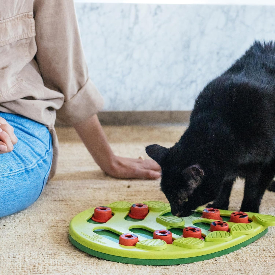 Catstages Buggin' Out Puzzle & Play, Interactive Treat Puzzle Cat Toy, Green