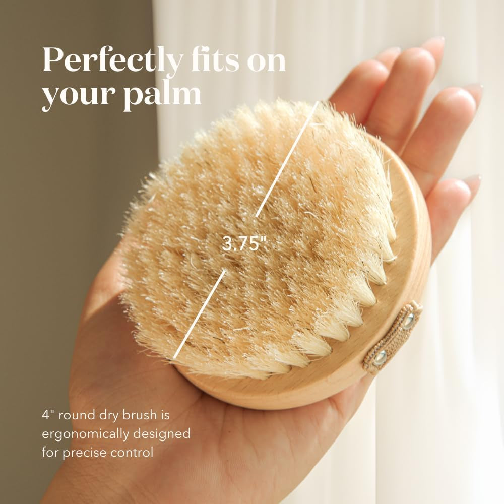 Bare Botanics Dry Body Brush for Lymphatic Drainage - Improve Circulation W/Gentle Exfoliation for Soft Skin - Ergonomically Designed W/Elastic Strap - Soft but Firm Natural Boar Bristles
