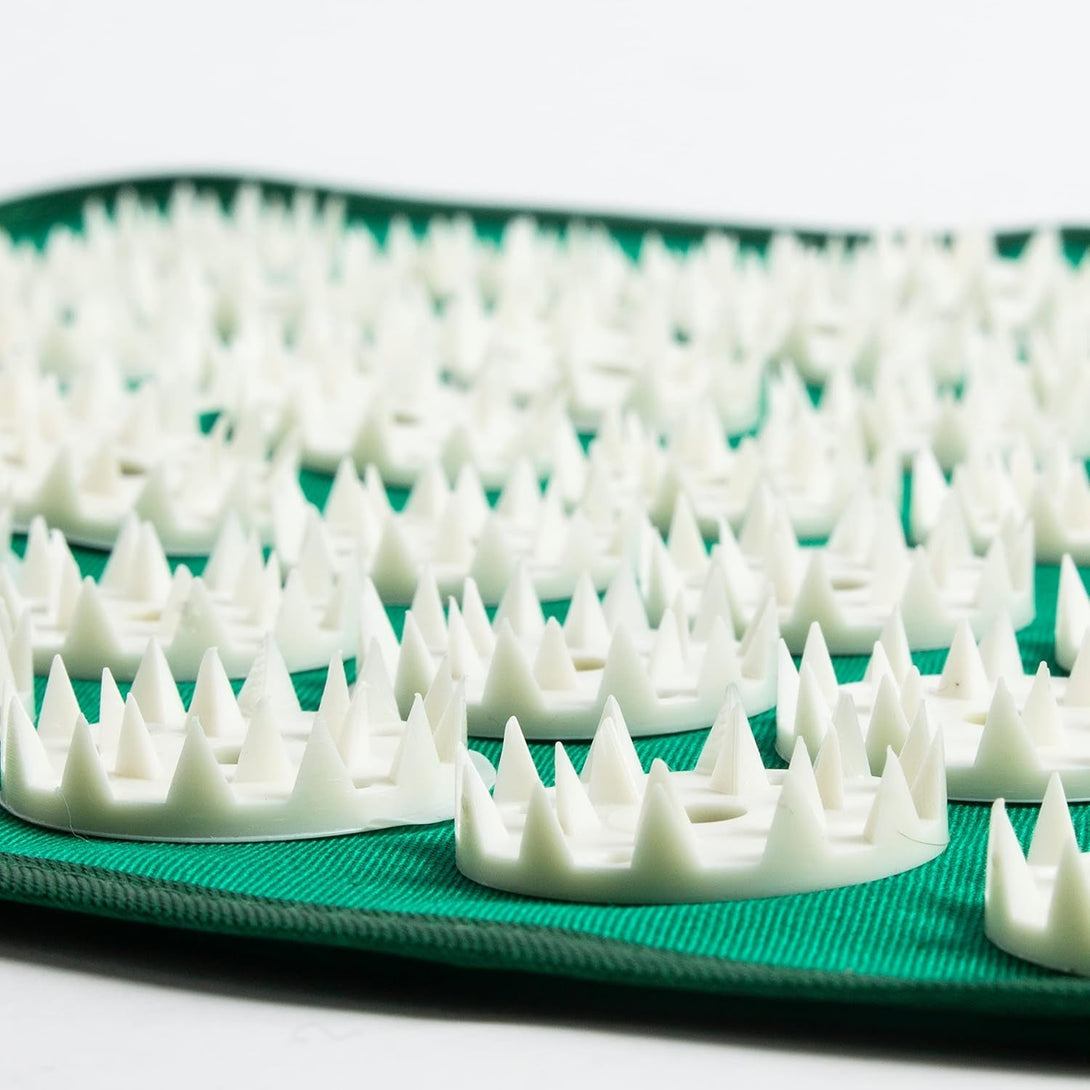 Applicator Kuznetsova Mat - Iplikator Kuznetsova Iplicator - Kuznecov Applicator Acupressure Mat by SHSH Trade Group