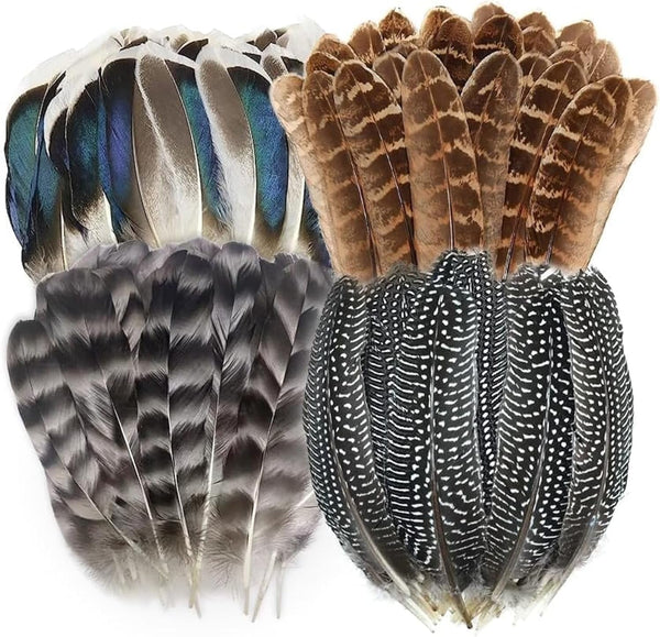 40Pcs Natural Pheasant Feathers, Spotted Feathers, Turkey Feathers, 4 Styles Feathers for Crafts DIY Hat Floral Arrangements Wing Quill Wedding Home Party