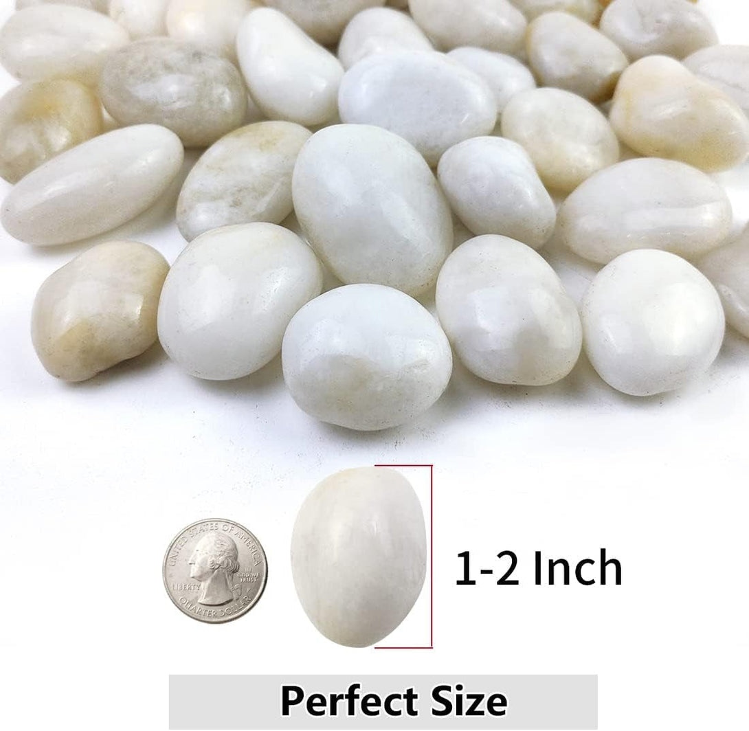 5Lbs White River Rocks, 1-2 Inch Natural Pebbles for Indoor Plants, High Polished Decorative Stones Vase Filler Fish Tank Aquariums Landscaping Garden Outdoor and Indoor DIY