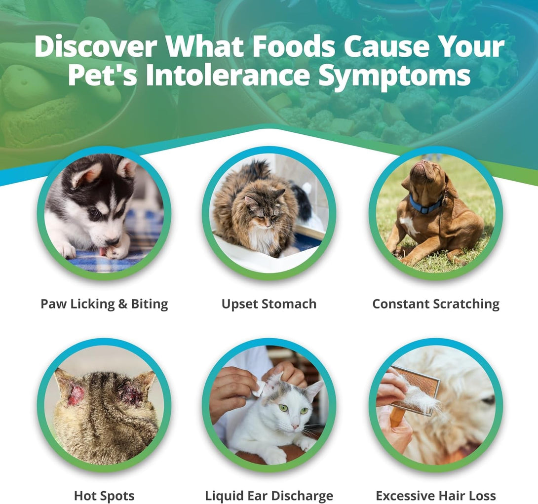 5Strands Pet Food Intolerance Test, at Home Sensitivity Test for Dogs & Cats, 270 Items, Hair Analysis, Accurate for All Ages & Breeds, Pet Gut Health, Fast 5 Day Results