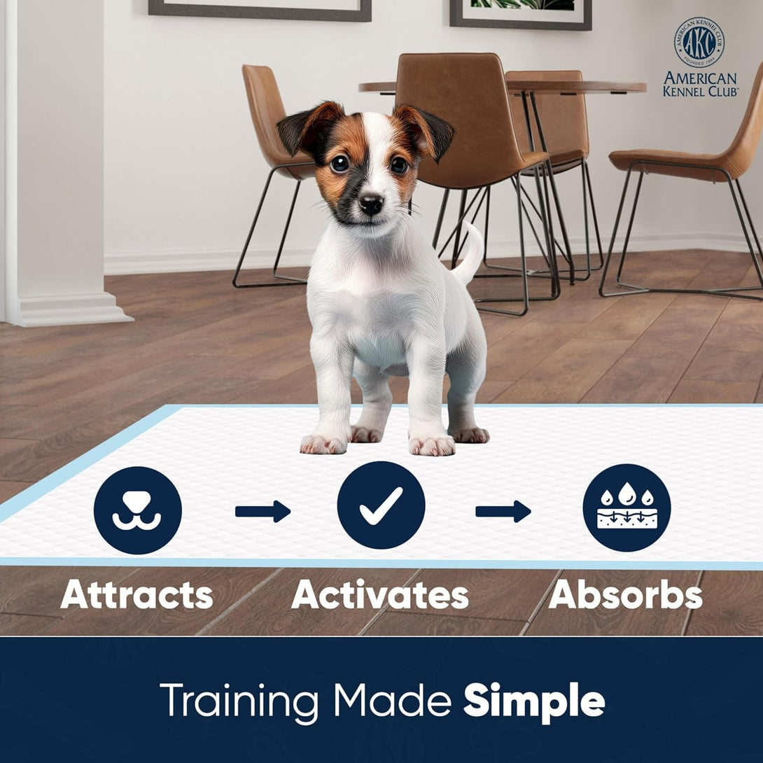 AMERICAN KENNEL CLUB AKC62975 6-Layer Leak-Proof Puppy Training Pads - 22X22 Inches, Green, Synthetic, Disposable-Pet-Training-Pads, Pack of 100