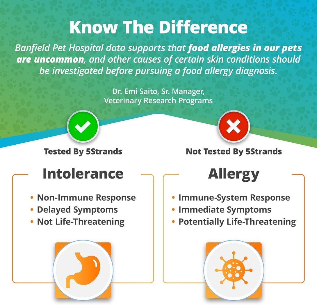 5Strands Pet Food Intolerance Test, at Home Sensitivity Test for Dogs & Cats, 270 Items, Hair Analysis, Accurate for All Ages & Breeds, Pet Gut Health, Fast 5 Day Results