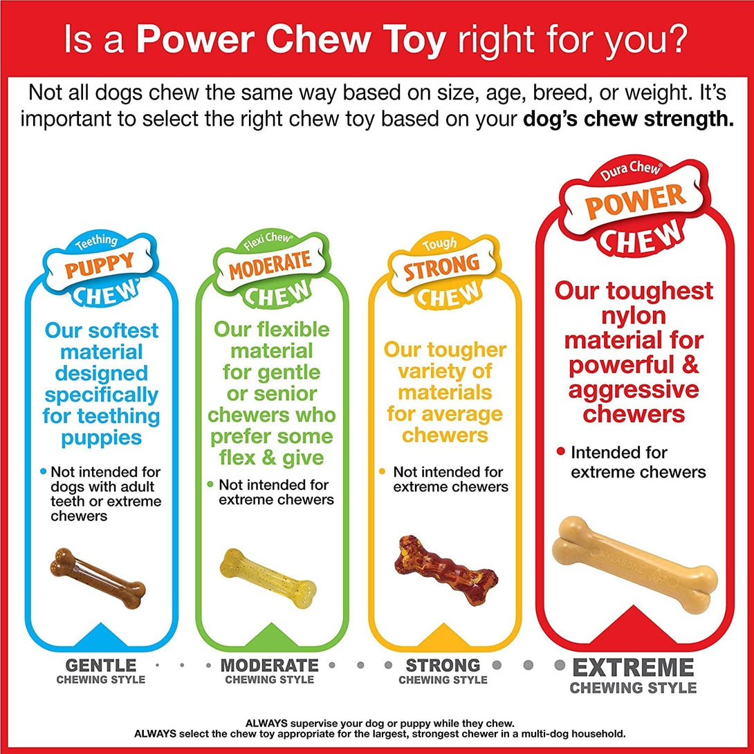 Nylabone Textured Dental Bone Power Chew Toy for Dogs, Dog Toys for Aggressive Chewers, Flavor Medley Flavor, Small - up to 25 Ibs, 1 Count