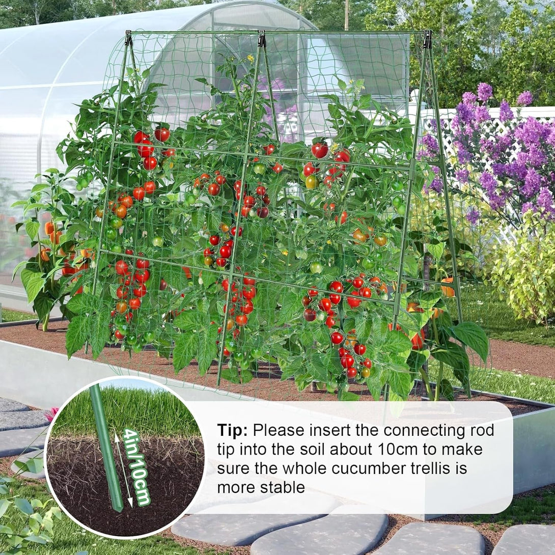 55" H X 36" W Cucumber Trellis, Trellis for Climbing Plants Outdoor, A-Frame Cucumber Trellis for Raised Bed Garden Vegetable Grow Supports, Tomato Plant Support for Tomato Squash Zucchini (A Frame)