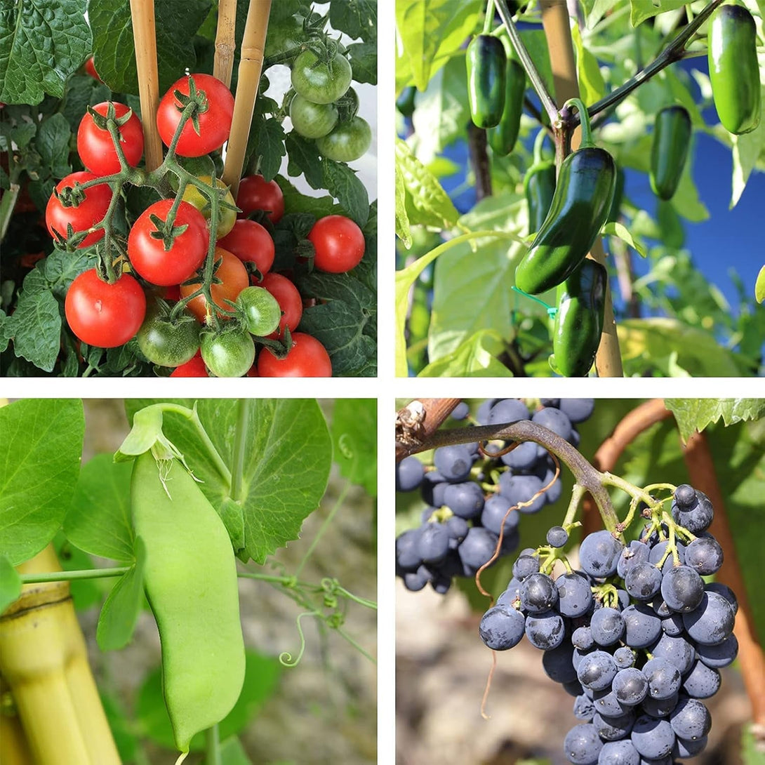 Bamboo Stakes 4Ft Natural Plant Stakes for Tomatoes, Beans, Climbing Plants Support - 25 Pack Bamboo Sticks for Plants