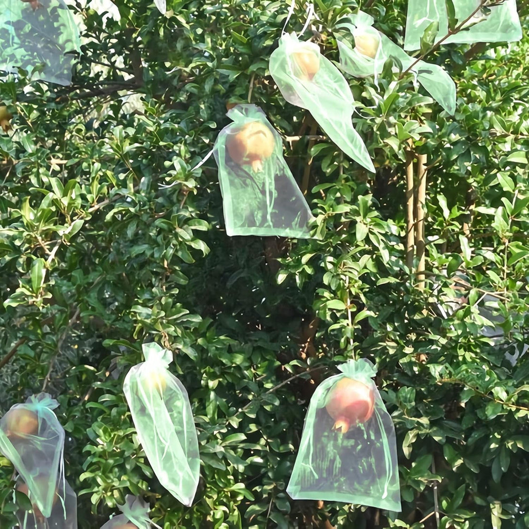 MIXC 50 Pcs Fruit Protection Bags,6''×8''Fruit Netting Bags for Fruit Trees Fruit Cover Mesh Bag with Drawstring Netting Barrier Bags for Plant Fruit Flower