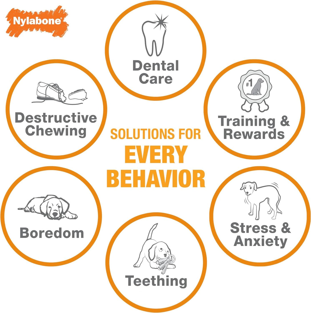 Nylabone Textured Dental Bone Power Chew Toy for Dogs, Dog Toys for Aggressive Chewers, Flavor Medley Flavor, Small - up to 25 Ibs, 1 Count