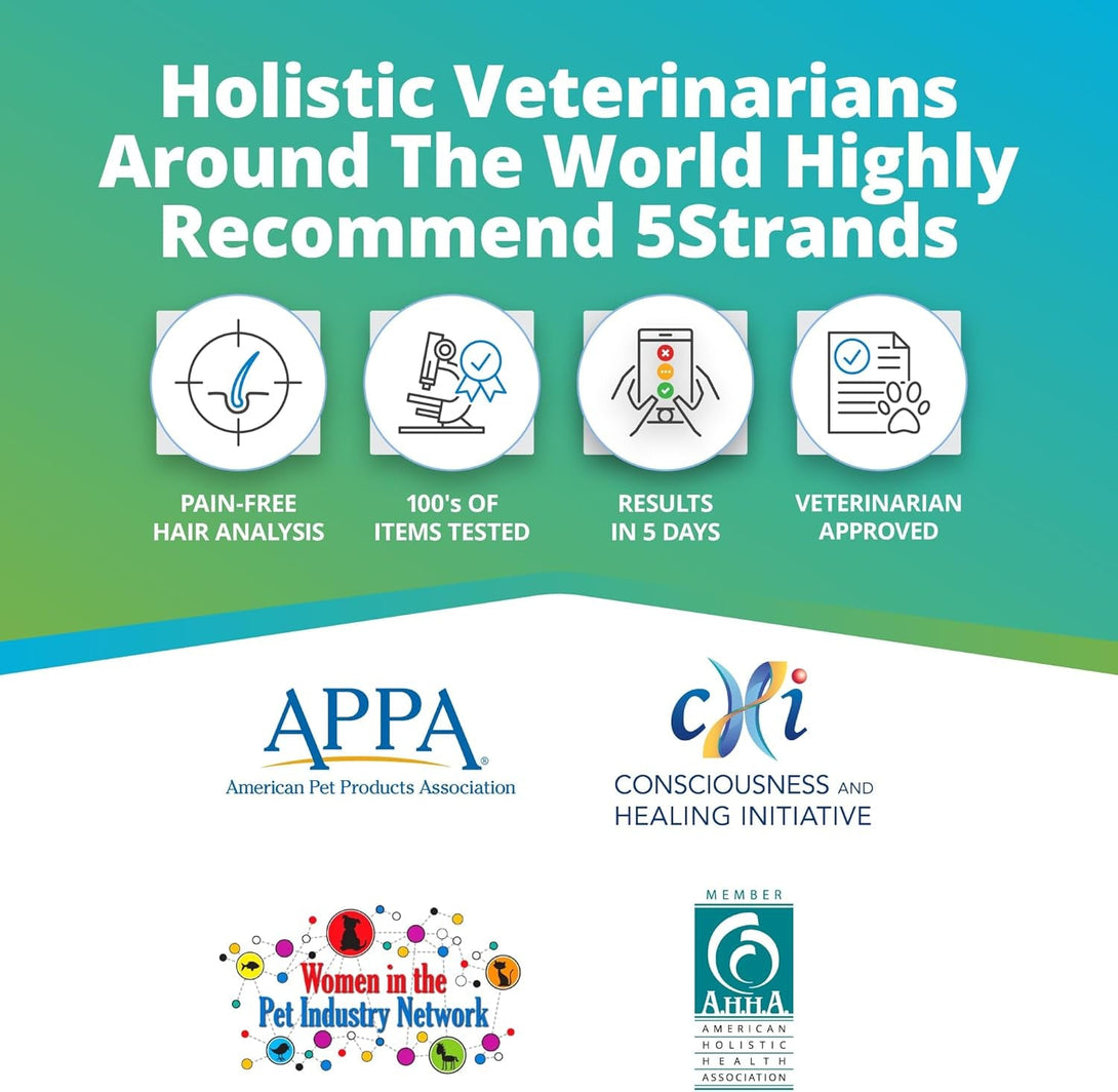 5Strands Pet Food Intolerance Test, at Home Sensitivity Test for Dogs & Cats, 270 Items, Hair Analysis, Accurate for All Ages & Breeds, Pet Gut Health, Fast 5 Day Results