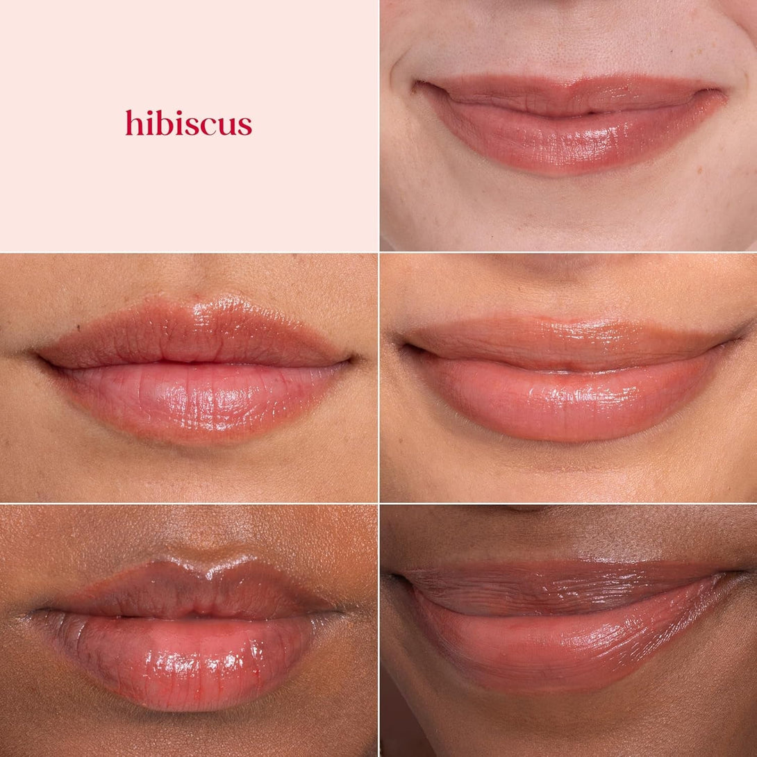 Burt'S Bees Lip Tint Balm with Long Lasting 2 in 1 Duo Tinted Balm Formula, Color Infused with Deeply Hydrating Shea Butter for a Natural Looking Buildable Finish, Soft Hibiscus (2-Pack)