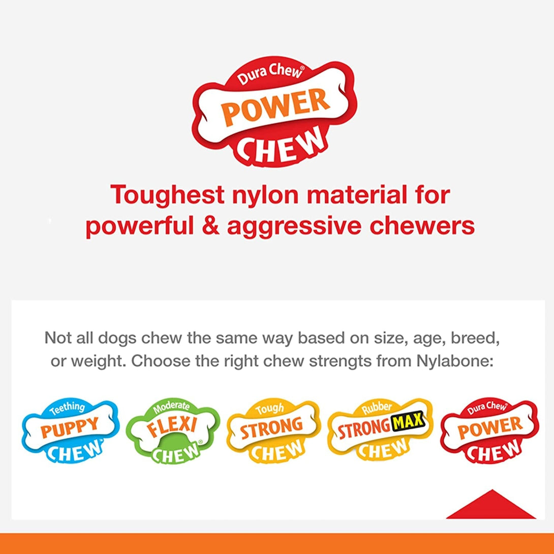 Nylabone Textured Dental Bone Power Chew Toy for Dogs, Dog Toys for Aggressive Chewers, Flavor Medley Flavor, Small - up to 25 Ibs, 1 Count